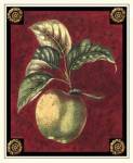 Pomme De Hubbardston by Pierre-Joseph D'avoine