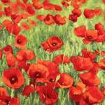 Poppies by Silvia Mei