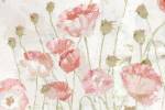 Poppies in the Wind Blush Landscape by Marie-Elaine Cusson