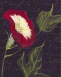 Poppy by JM Designs