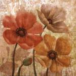 Poppy Allure I by Conrad Knutsen