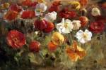 Poppy Field by Danhui Nai