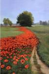 Poppy Field by Julie Peterson