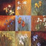 Poppy Fields by Jang Mariss