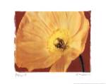 Poppy II by Amy Melious