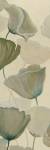 Poppy Impression Panel I by Georges Generali