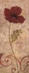 Poppy Passion I by Jane Carroll