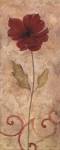 Poppy Passion II by Jane Carroll