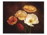 Poppy Perfection II by Janel Pahl