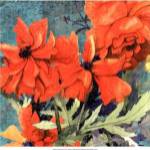 Poppy Play I by R. Collier-Morales
