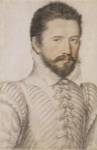 Portrait of a Bearded Man Wearing a Slashed Doublet