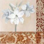 Portrait of a White Lily by Marietta Cohen