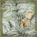 Postmark Tropicals III by Jennifer Goldberger
