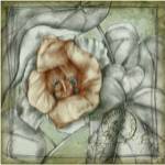 Postmark Tropicals IV by Jennifer Goldberger
