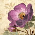 Pourpre Fleur I by Lanie Loreth
