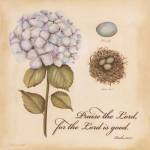 Praise The Lord by Stephanie Marrott