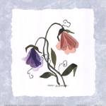 Pressed Petals I by Carol Robinson