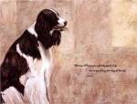Pretty Good Dog by Elizabeth Hope