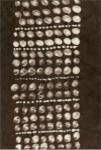Primitive Patterns VIII by Renee Stramel