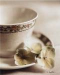 PRINCESS IVORY by Sondra Wampler