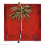 Princess Palm by Mark Pulliam