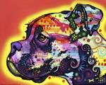 Profile Boxer by Dean Russo