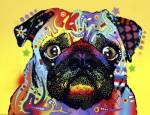 Pug by Dean Russo