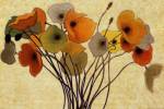 Pumpkin Poppies I by Shirley Novak