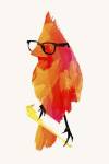 Punk Birdy by Robert Farkas