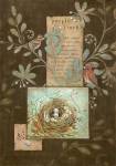 Purple Finch by Diane Knowles