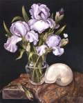 Purple Iris with Shell by Nancy Wiseman