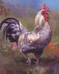 Purple Rooster by Nenad Mirkovich