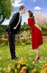 Pushing Daisies