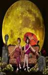 Pushing Daisies