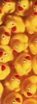Quack Quack III by Dave Brullmann