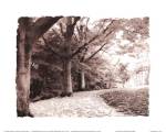 Queen Elizabeth Park by Dick and Diane Stefanich