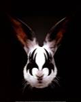 Rabbit Rocks by Robert Farkas