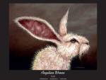 Rabid by Angelina Wrona