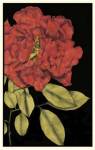 Radiance III by Jennifer Goldberger