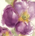 Radiant Poppy II by Chris Paschke