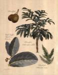 Rainforest Collection II by Betty Whiteaker