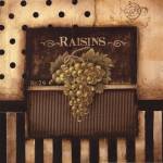 Raisins - Square by Kimberly Poloson