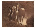 Rangers by Wendy Caro