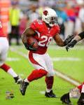 Rashard Mendenhall 2013 Action