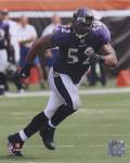 Ray Lewis 2010 Action