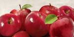 Red Apples by Remo Barbieri