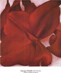 Red Cannas by Georgia O'Keeffe