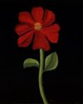 Red Cosmos by Soraya Chemaly