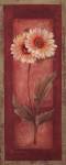 Red Door Gaillardia by Pamela Gladding