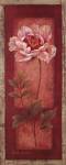 Red Door Peony by Pamela Gladding
